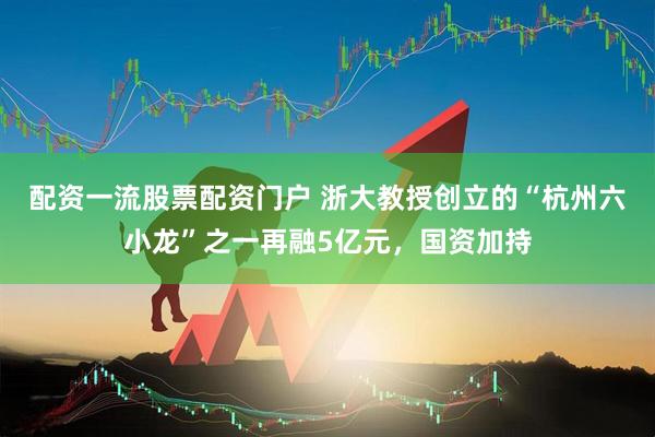 配资一流股票配资门户 浙大教授创立的“杭州六小龙”之一再融5亿元，国资加持