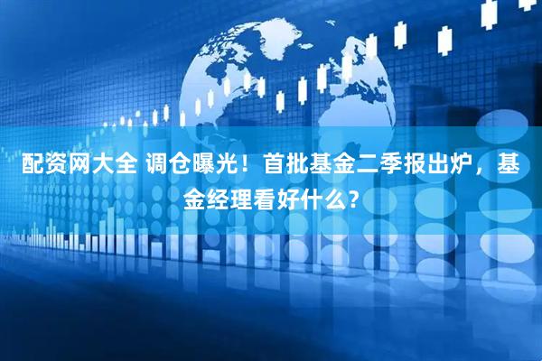 配资网大全 调仓曝光！首批基金二季报出炉，基金经理看好什么？
